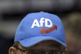 afd germany